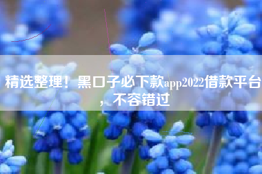 精选整理！黑口子必下款app2022借款平台，不容错过