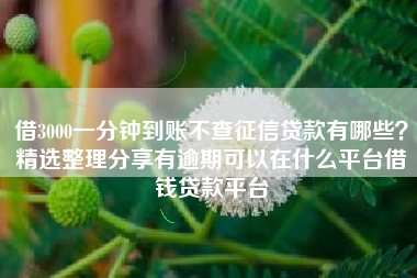 借3000一分钟到账不查征信贷款有哪些？精选整理分享有逾期可以在什么平台借钱贷款平台