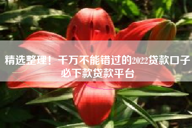 精选整理！千万不能错过的2022贷款口子必下款贷款平台