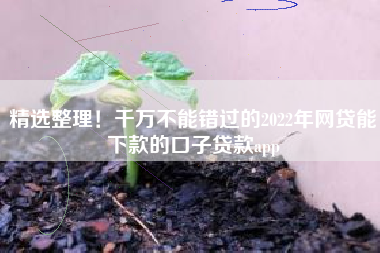 精选整理！千万不能错过的2022年网贷能下款的口子贷款app