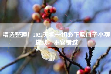 精选整理！2022无视一切必下款口子小额贷款，不容错过