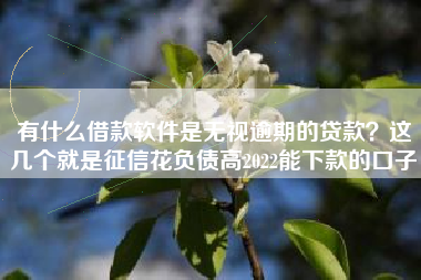 有什么借款软件是无视逾期的贷款？这几个就是征信花负债高2022能下款的口子