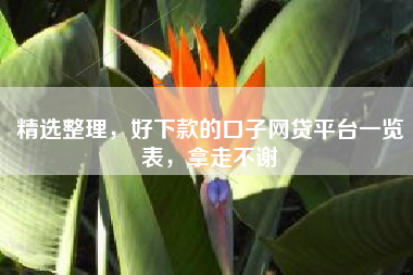 精选整理，好下款的口子网贷平台一览表，拿走不谢