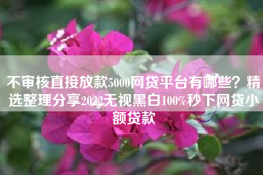 不审核直接放款5000网贷平台有哪些？精选整理分享2022无视黑白100%秒下网贷小额贷款
