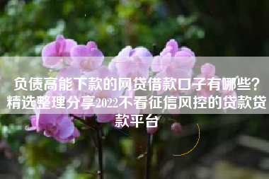 负债高能下款的网贷借款口子有哪些？精选整理分享2022不看征信风控的贷款贷款平台