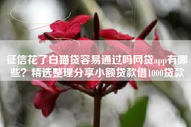 征信花了白猫贷容易通过吗网贷app有哪些？精选整理分享小额贷款借1000贷款