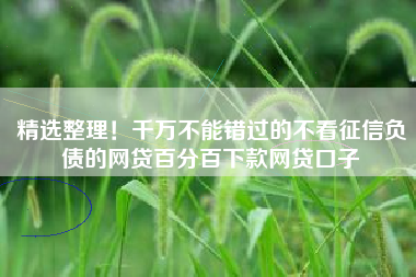 精选整理！千万不能错过的不看征信负债的网贷百分百下款网贷口子