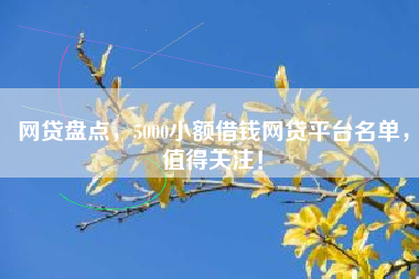 网贷盘点，5000小额借钱网贷平台名单，值得关注！
