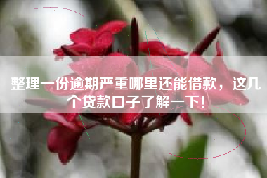 整理一份逾期严重哪里还能借款，这几个贷款口子了解一下！