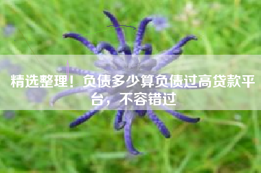 精选整理！负债多少算负债过高贷款平台，不容错过