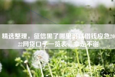 精选整理，征信黑了哪里可以借钱应急2022网贷口子一览表，拿走不谢