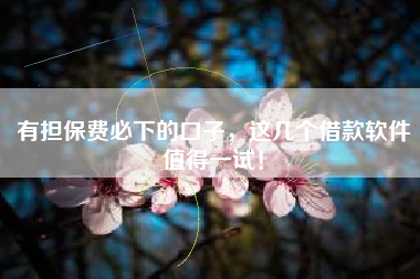 有担保费必下的口子，这几个借款软件值得一试！