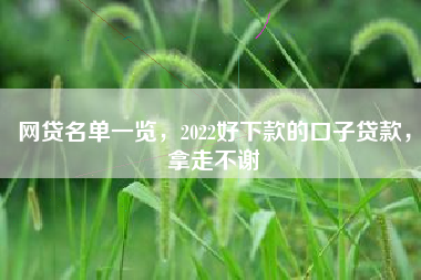 网贷名单一览，2022好下款的口子贷款，拿走不谢