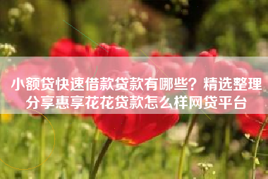 小额贷快速借款贷款有哪些？精选整理分享惠享花花贷款怎么样网贷平台