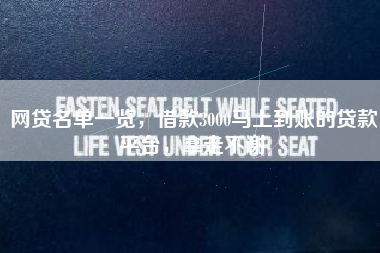 网贷名单一览，借款3000马上到账的贷款平台，拿走不谢