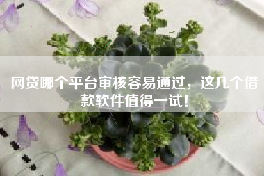 网贷哪个平台审核容易通过，这几个借款软件值得一试！