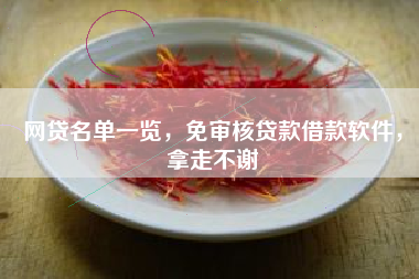 网贷名单一览，免审核贷款借款软件，拿走不谢