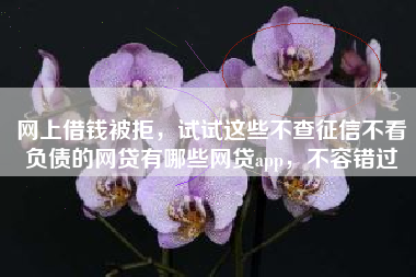 网上借钱被拒，试试这些不查征信不看负债的网贷有哪些网贷app，不容错过