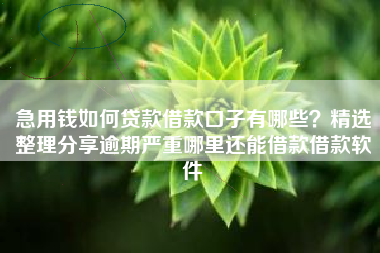 急用钱如何贷款借款口子有哪些？精选整理分享逾期严重哪里还能借款借款软件