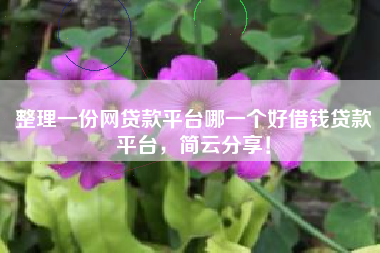 整理一份网贷款平台哪一个好借钱贷款平台，简云分享！