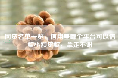 网贷名单一览，信用差哪个平台可以借款小额贷款，拿走不谢