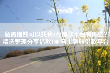 急需借钱可以找我3万借款平台有哪些？精选整理分享借款1000马上到账借款平台