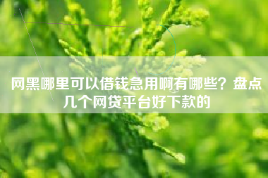网黑哪里可以借钱急用啊有哪些？盘点几个网贷平台好下款的