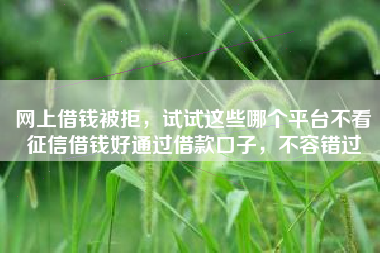 网上借钱被拒，试试这些哪个平台不看征信借钱好通过借款口子，不容错过