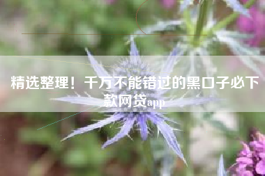 精选整理！千万不能错过的黑口子必下款网贷app