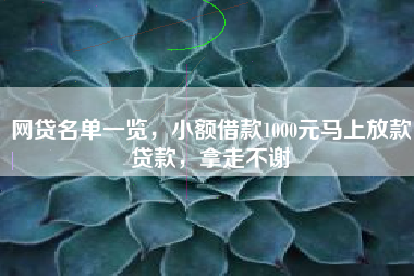 网贷名单一览，小额借款1000元马上放款贷款，拿走不谢