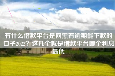 有什么借款平台是网黑有逾期能下款的口子2022？这几个就是借款平台哪个利息最低
