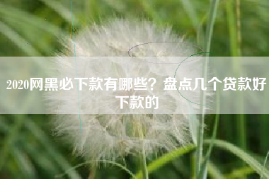 2020网黑必下款有哪些？盘点几个贷款好下款的