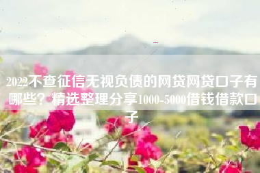 2022不查征信无视负债的网贷网贷口子有哪些？精选整理分享1000-5000借钱借款口子