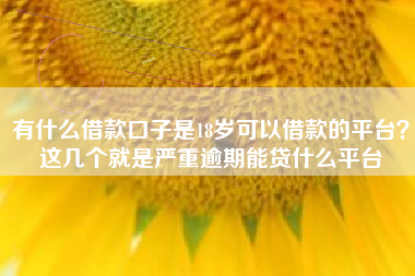 有什么借款口子是18岁可以借款的平台？这几个就是严重逾期能贷什么平台