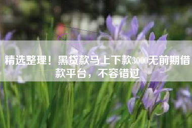 精选整理！黑贷款马上下款3000无前期借款平台，不容错过