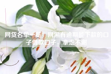 网贷名单一览，网黑有逾期能下款的口子借款口子，拿走不谢