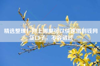 精选整理！网上哪里可以快速借到钱网贷口子，不容错过