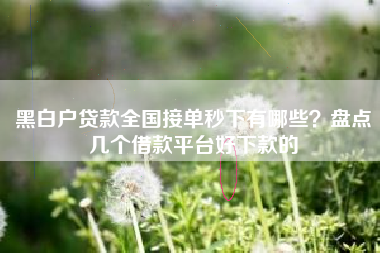黑白户贷款全国接单秒下有哪些？盘点几个借款平台好下款的