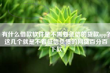 有什么借款软件是不需要征信的贷款app？这几个就是不看征信负债的网贷百分百下款