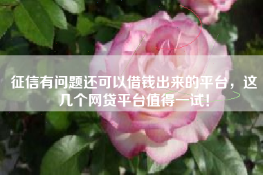 征信有问题还可以借钱出来的平台，这几个网贷平台值得一试！