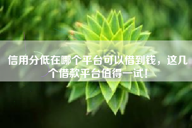 信用分低在哪个平台可以借到钱，这几个借款平台值得一试！
