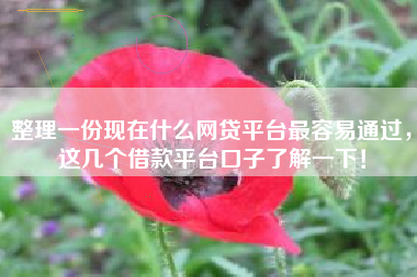 整理一份现在什么网贷平台最容易通过，这几个借款平台口子了解一下！
