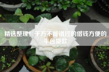 精选整理！千万不能错过的借钱方便的平台贷款