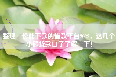 整理一份能下款的借款平台2022，这几个小额贷款口子了解一下！