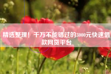 精选整理！千万不能错过的3000元快速借款网贷平台