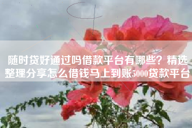 随时贷好通过吗借款平台有哪些？精选整理分享怎么借钱马上到账5000贷款平台