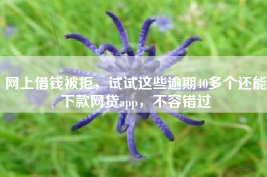 网上借钱被拒，试试这些逾期40多个还能下款网贷app，不容错过