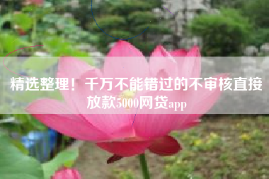 精选整理！千万不能错过的不审核直接放款5000网贷app