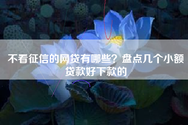 不看征信的网贷有哪些？盘点几个小额贷款好下款的