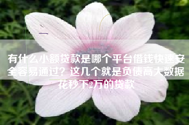 有什么小额贷款是哪个平台借钱快速安全容易通过？这几个就是负债高大数据花秒下2万的贷款